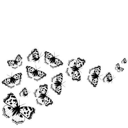 butterflies designのイラスト素材