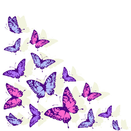 butterflies designのイラスト素材