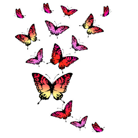 butterflies designのイラスト素材