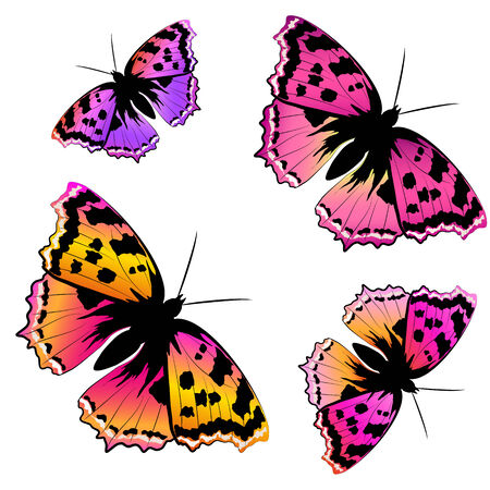 butterflies designのイラスト素材