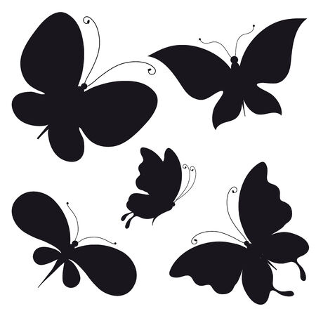 butterflies designのイラスト素材
