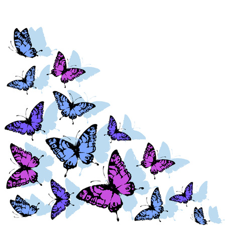 butterflies designのイラスト素材