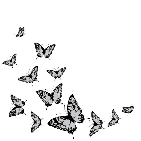 butterflies designのイラスト素材