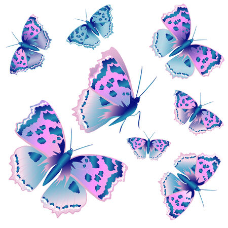 butterflies designのイラスト素材