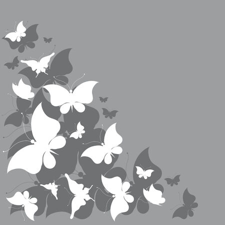butterflies designのイラスト素材