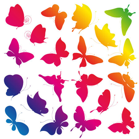 butterflies designのイラスト素材