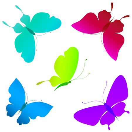butterflies designの写真素材