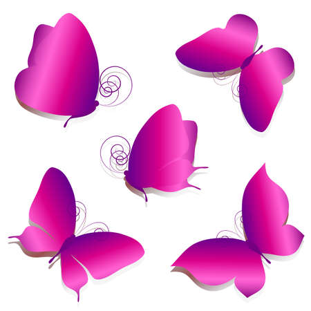 butterflies designのイラスト素材
