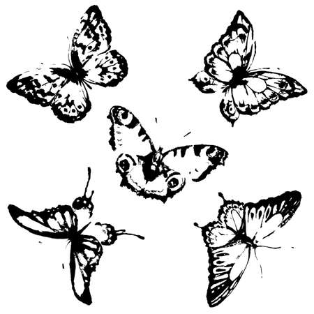 butterflies designのイラスト素材