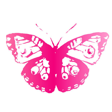 butterflies designのイラスト素材