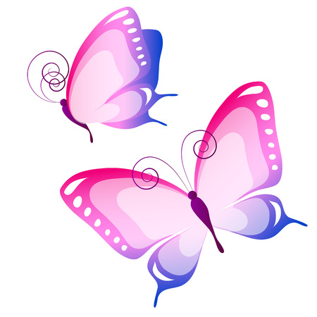 butterflies designのイラスト素材