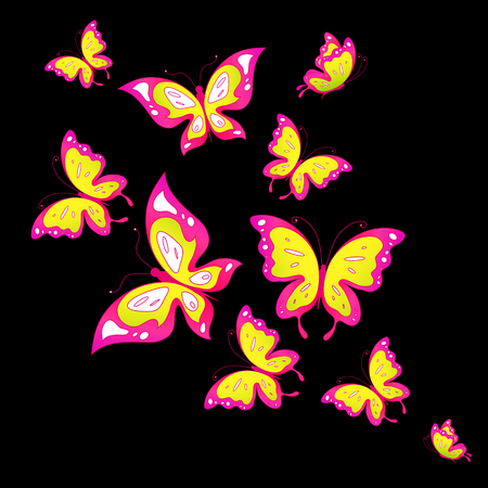 butterflies designの写真素材