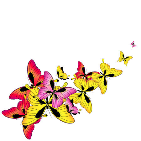 butterflies designのイラスト素材