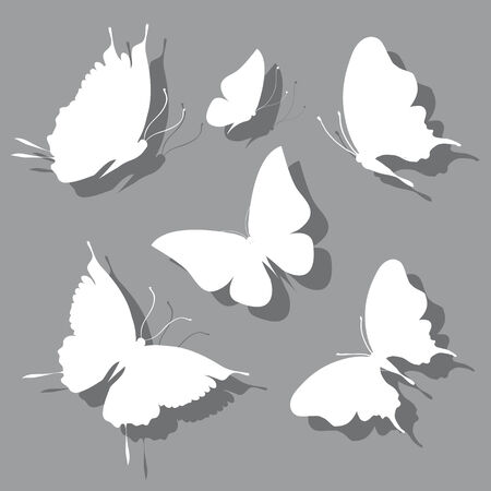 butterflies designのイラスト素材
