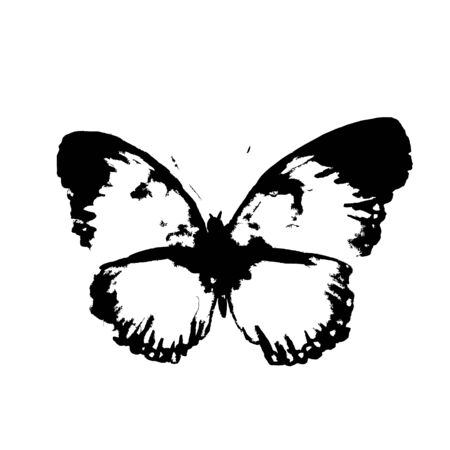 butterflies designのイラスト素材