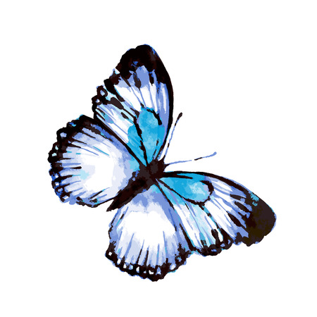 butterflies designのイラスト素材