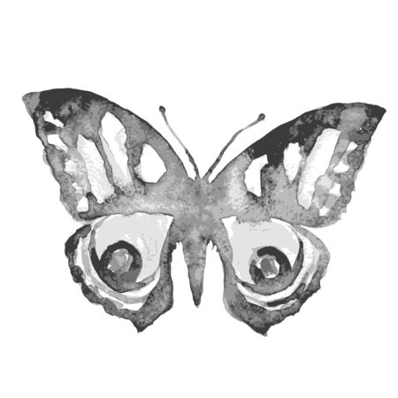 butterflies designのイラスト素材