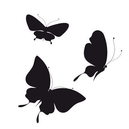 butterflies designの写真素材