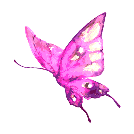 butterflies designのイラスト素材