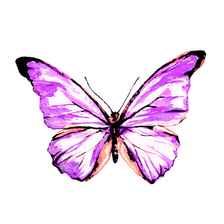 butterflies designのイラスト素材