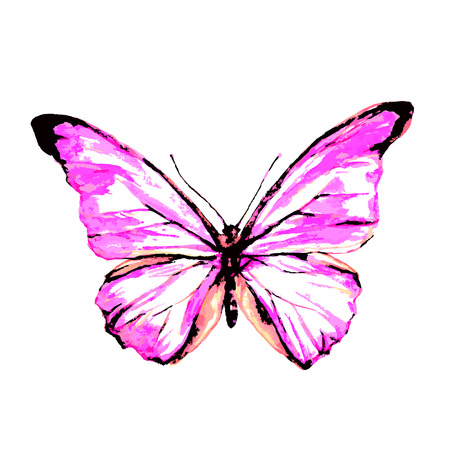 butterflies designのイラスト素材