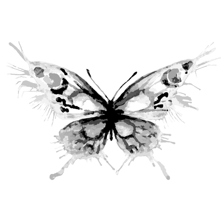 butterflies designのイラスト素材
