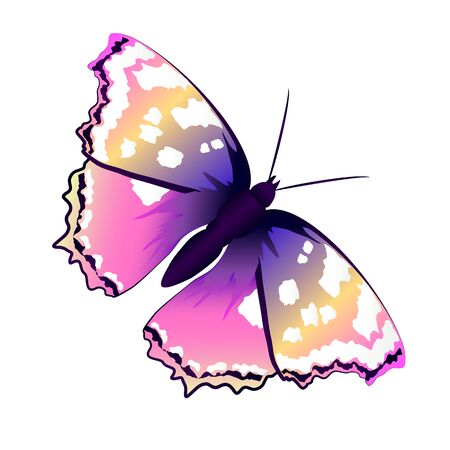 butterflies designのイラスト素材