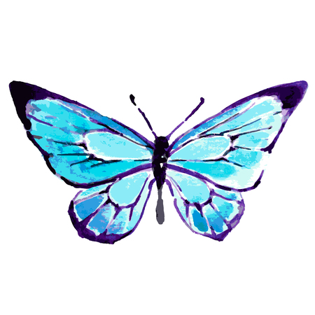 butterflies designのイラスト素材