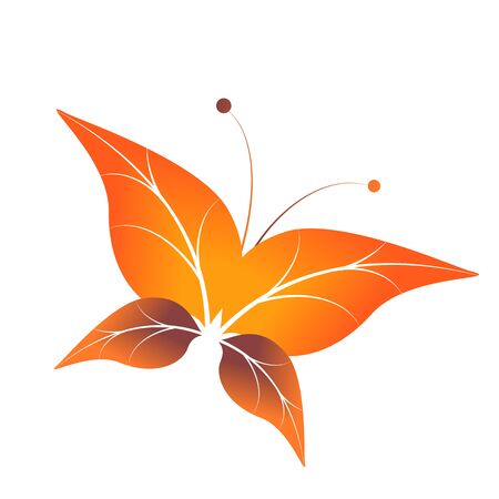 butterflies designのイラスト素材