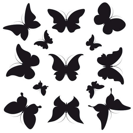 butterflies designのイラスト素材