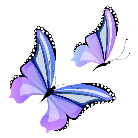 butterflies designのイラスト素材