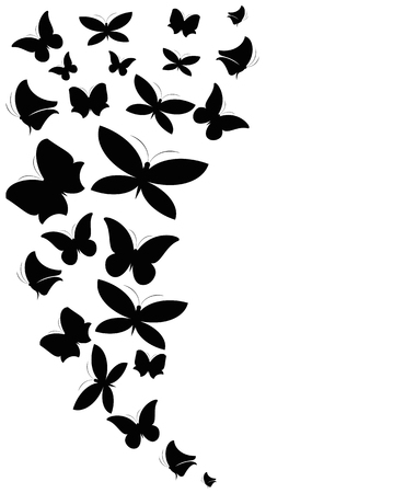 butterflies designの写真素材