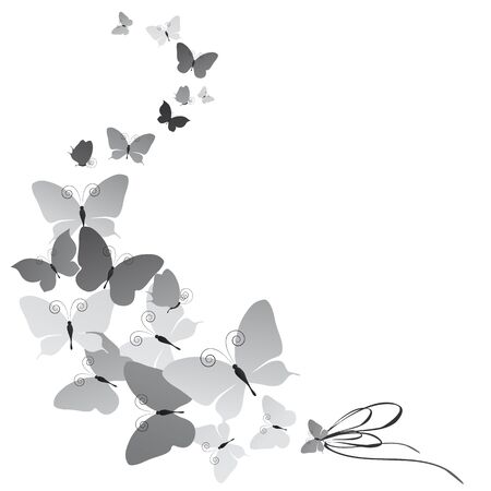 butterflies designのイラスト素材