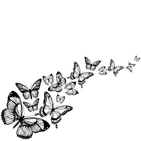 butterflies designのイラスト素材