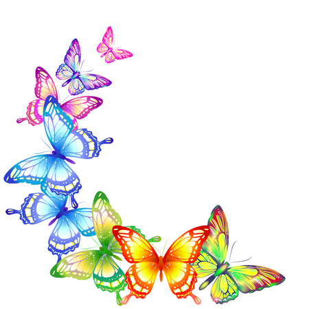 butterflies designのイラスト素材