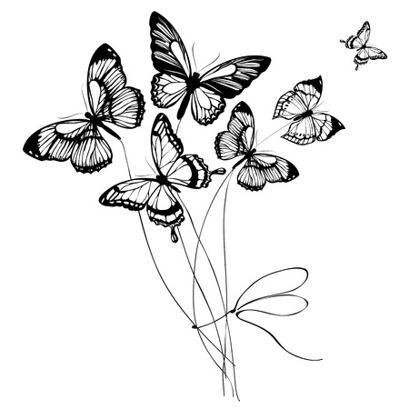 butterflies designのイラスト素材