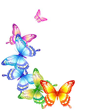 butterflies designの写真素材