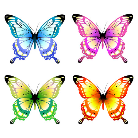 butterflies designのイラスト素材