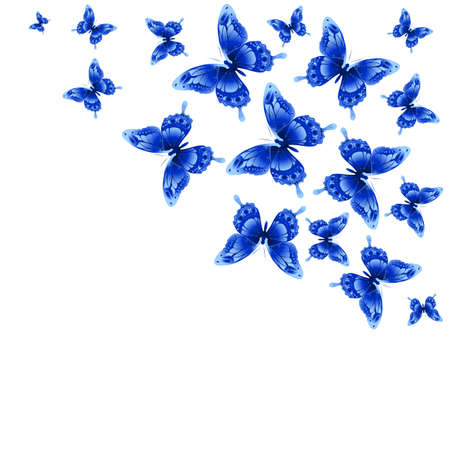 butterflies designのイラスト素材