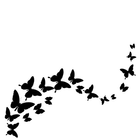 butterflies designの写真素材