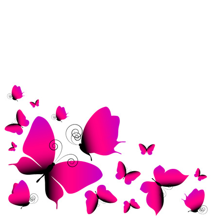 butterflies designの写真素材