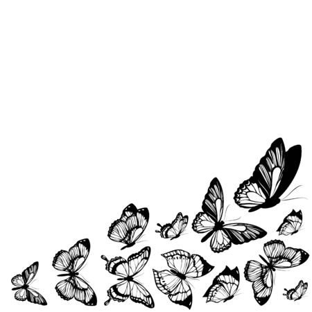 butterflies designのイラスト素材