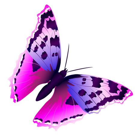 butterflies designのイラスト素材