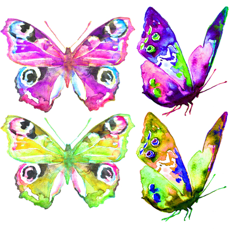 butterflies designの写真素材