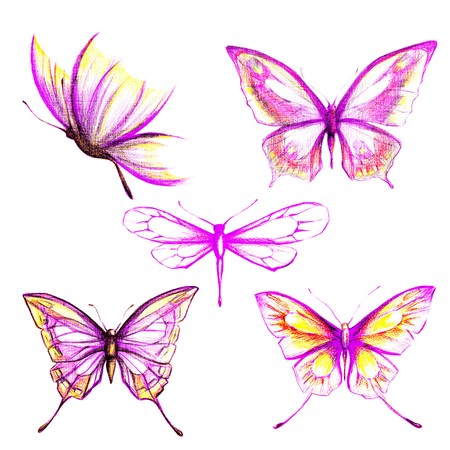 butterflies designの写真素材
