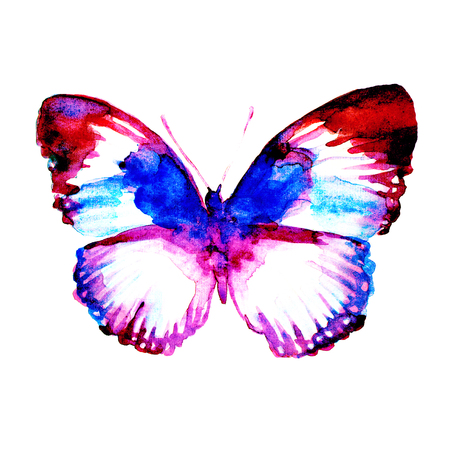 butterflies designの写真素材