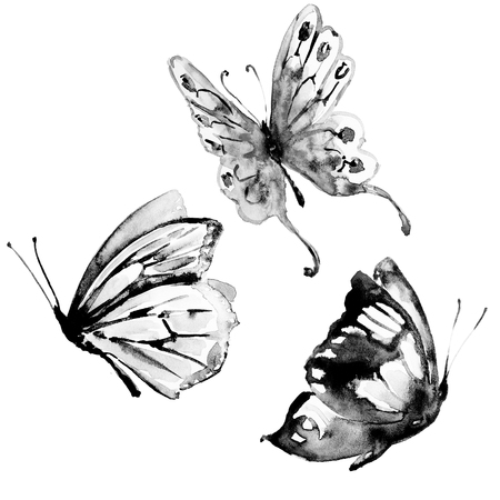 butterflies designの写真素材
