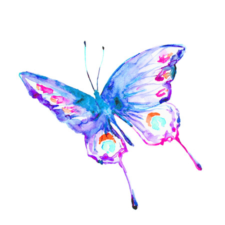 butterflies designの写真素材
