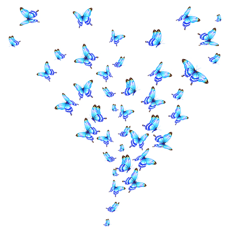 butterflies designのイラスト素材