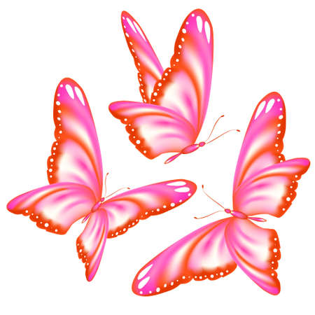 butterflies designのイラスト素材